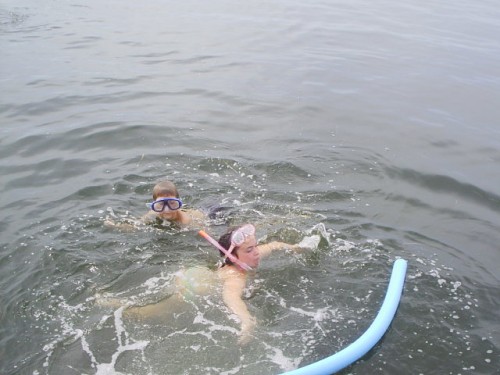 S2010002-2.JPG