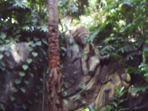 S2010003.JPG