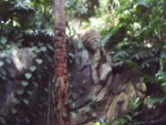 S2010003.JPG