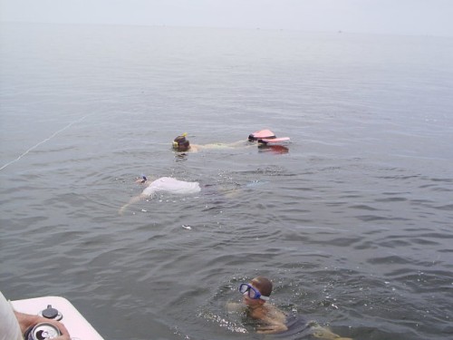 S2010003-2.JPG