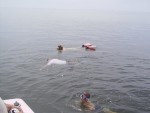 S2010003-2.JPG
