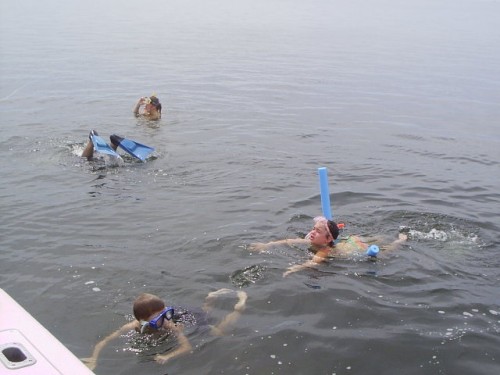 S2010004-2.JPG