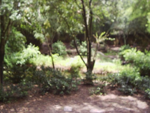 S2010005.JPG