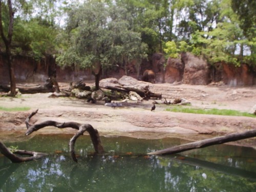 S2010006.JPG