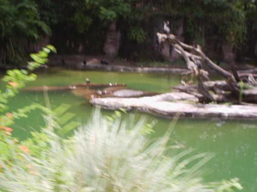S2010007.JPG