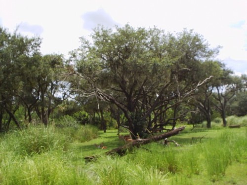 S2010012.JPG