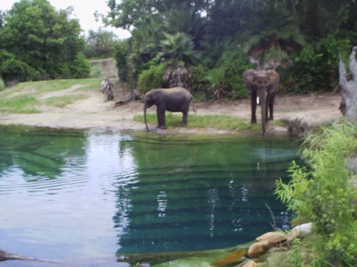 S2010013.JPG