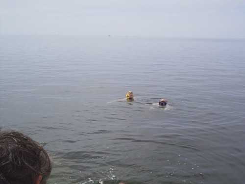 S2010013-2.JPG