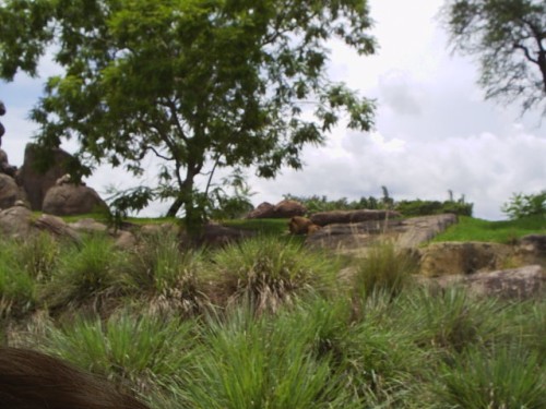 S2010015.JPG