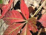sep 2009 254.jpg