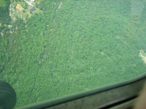 IMG_6563.JPG
