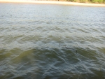 IMG_6639.JPG