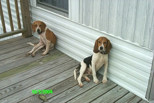 Elmer and Ann's "family".JPG
