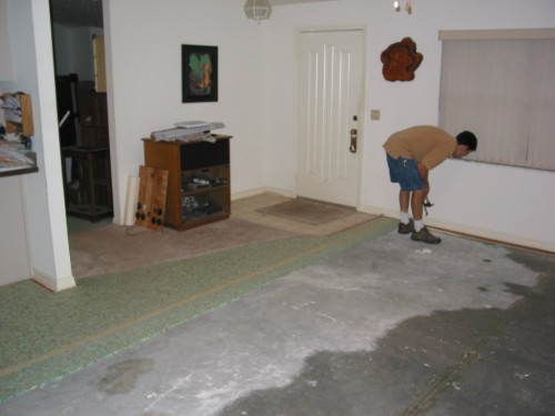 137-3719_IMG.JPG