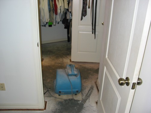 137-3721_IMG.JPG