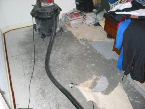 137-3724_IMG.JPG