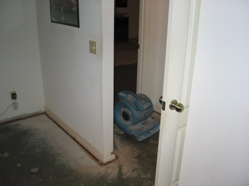 137-3727_IMG.JPG