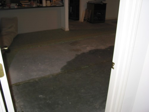 137-3728_IMG.JPG
