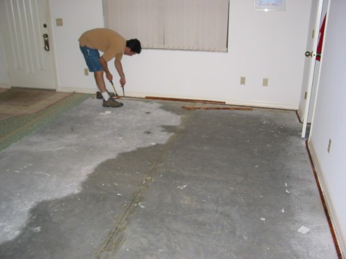 137-3729_IMG.JPG