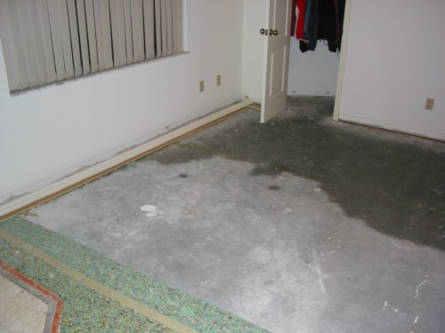 137-3731_IMG.JPG