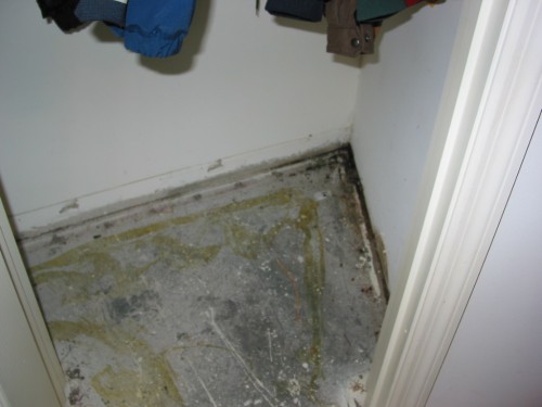 137-3732_IMG.JPG