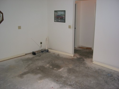 137-3745_IMG.JPG