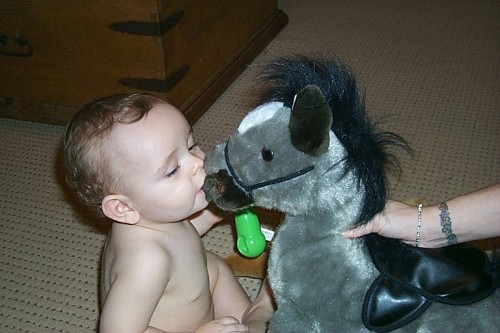 Giving horsey mooches