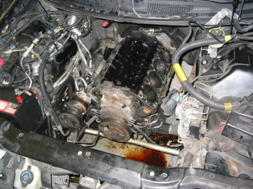 134-3479_IMG.JPG