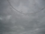 IMG_5440.JPG